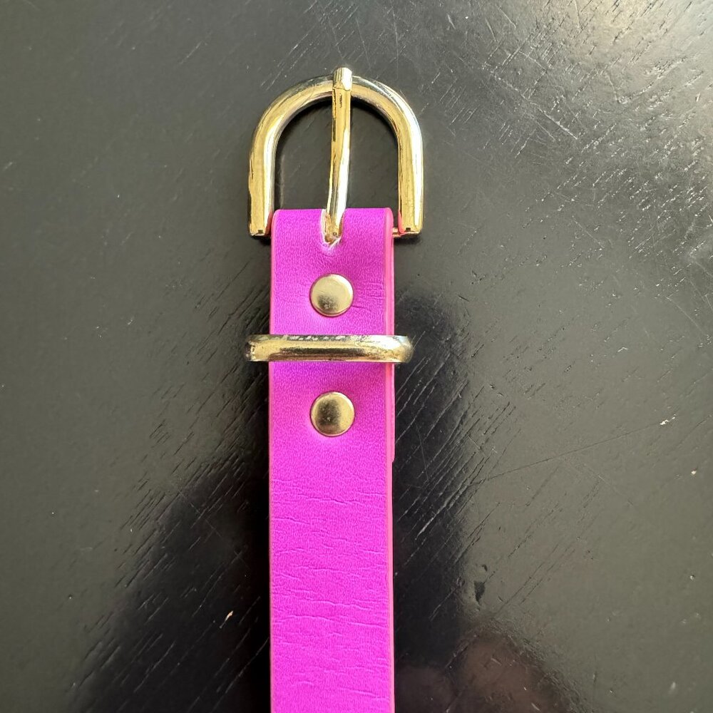 H&M Skinny Fuschia Belt with Gold Buckle OS